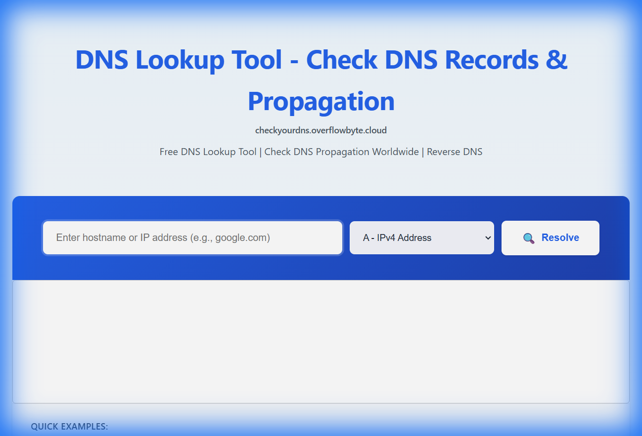 CheckYourDNS Interface